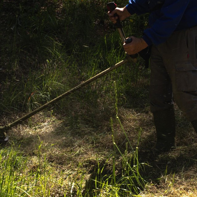 Desbroces Ourense para el cuidado de su finca