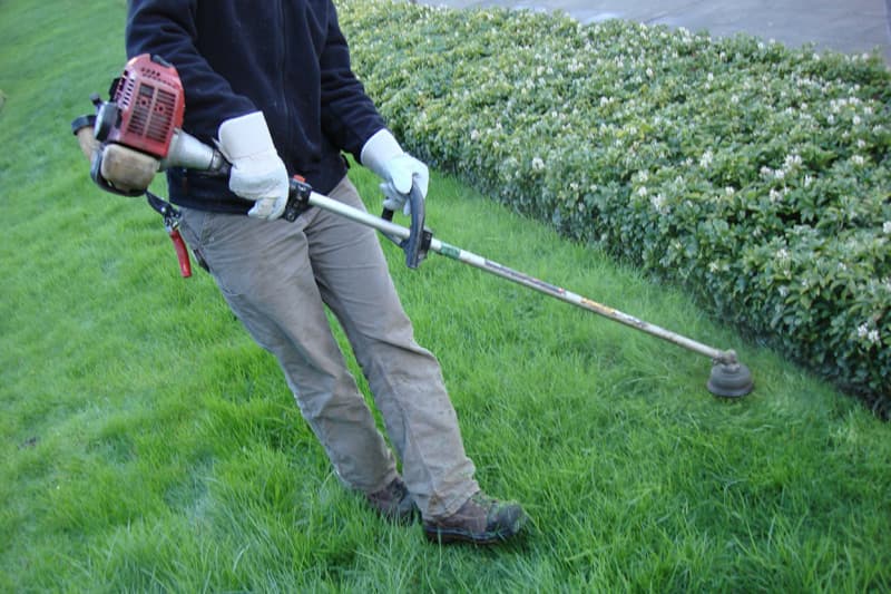 desbrozar terreno en Ourense