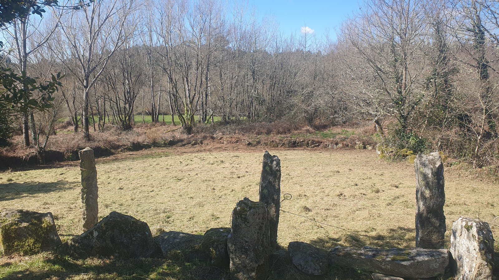 Desbroce de parcelas y terrenos en Ourense