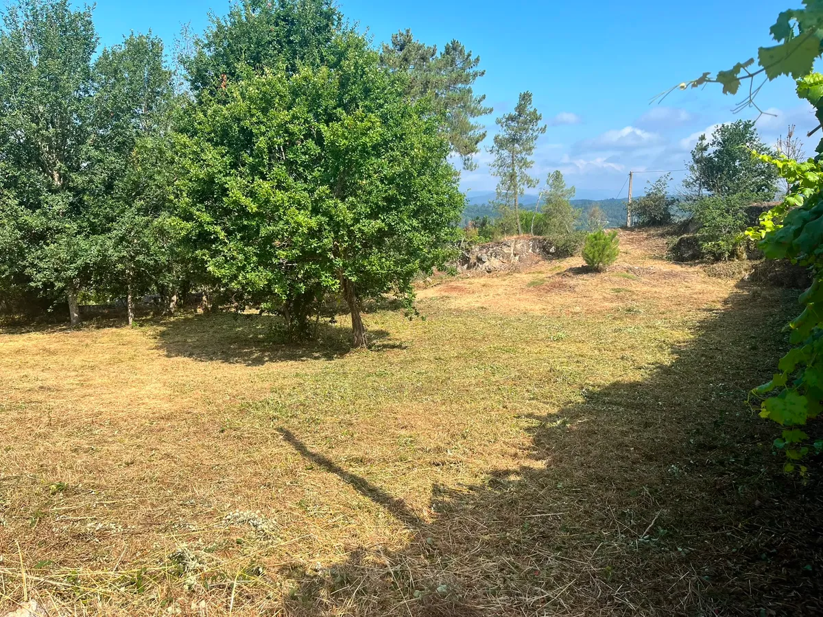 Desbroce de finca en Paderne de Allariz comarca Allariz-Maceda Ourense