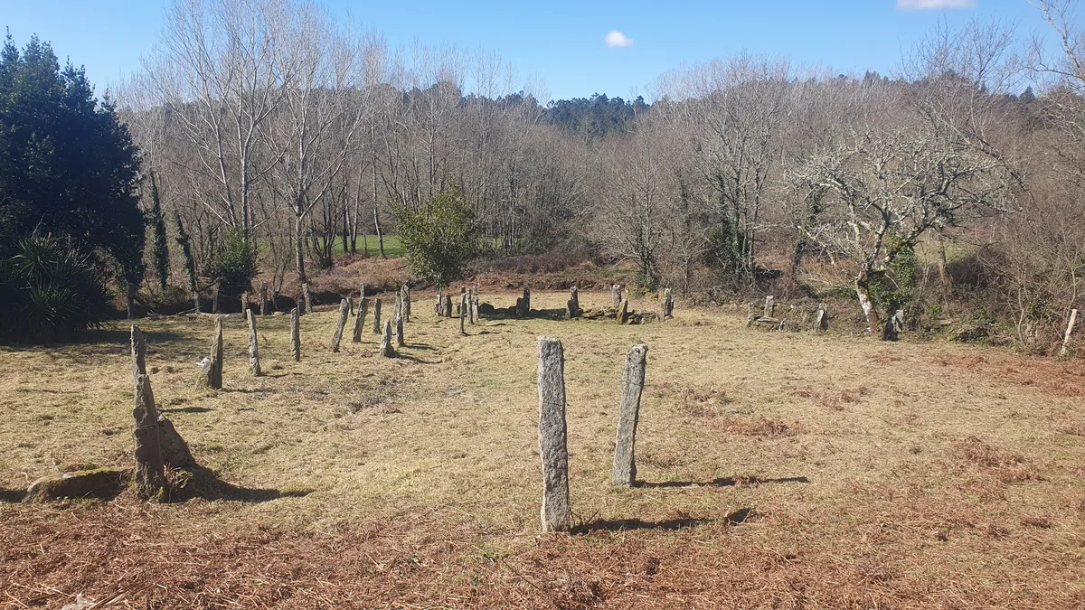 Desbroce de finca en O Carballiño, comarca de Ourense