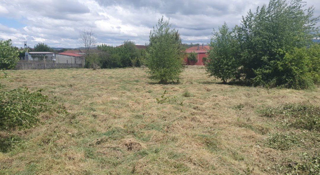 Finca limpia tras desbrozar en Ourense