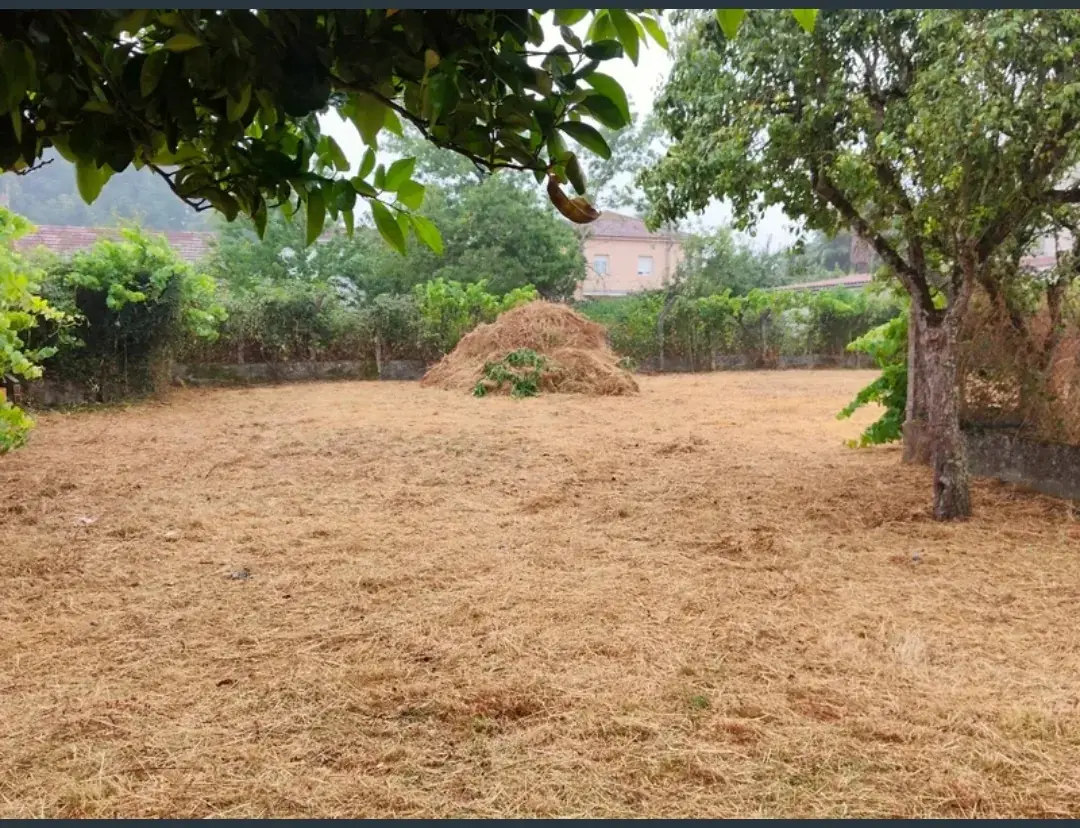 Desbroce de finca en Pereiro de Aguiar