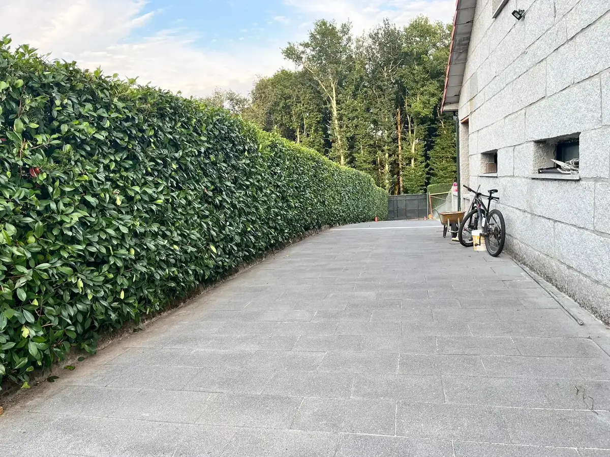 Jardinería profesional en Leiro, mantenimiento de zonas verdes