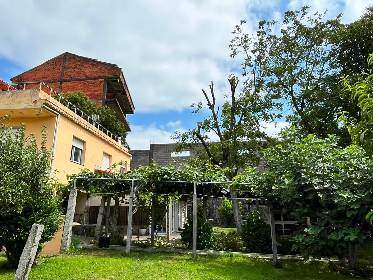Poda de árbol peligroso en finca de Toén, Ourense
